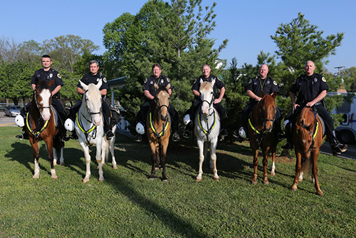 State Mounted Patrol Training