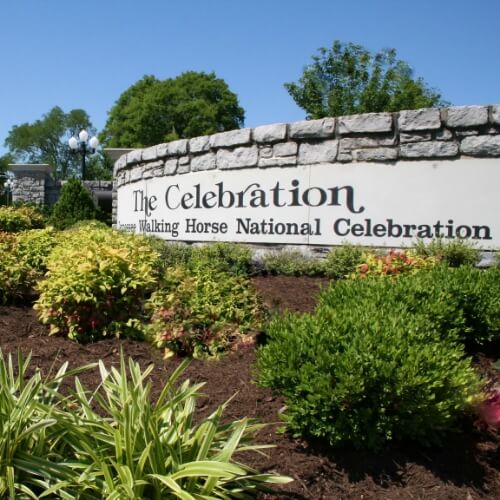 Tennessee Walking Horse National Celebration