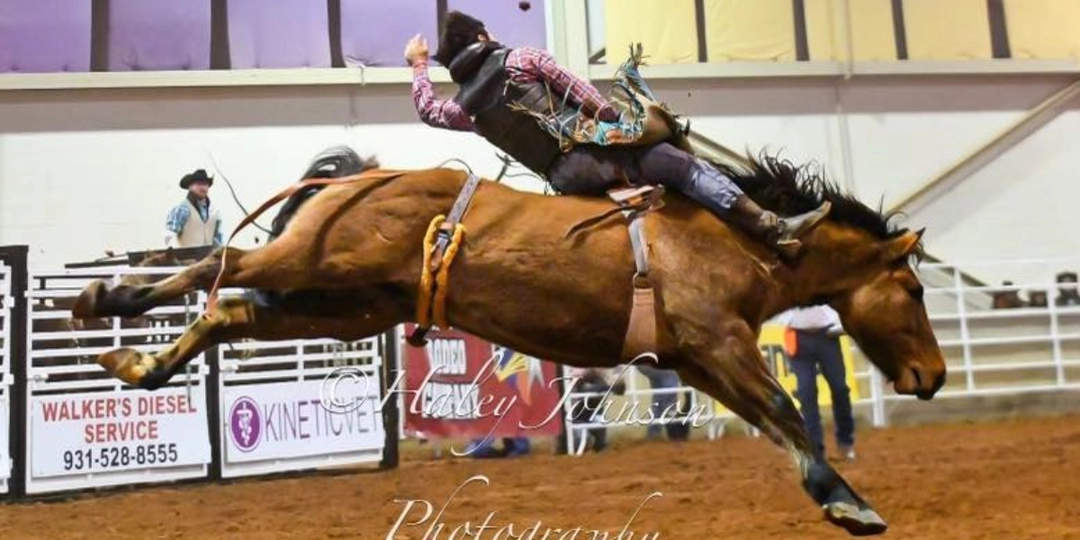 LONE STAR RODEO - The Celebration®